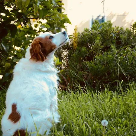 San Michele Di Danio Giovanni Alojamento de Turismo Rural