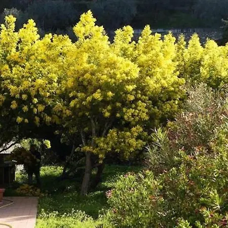 Alojamento de Turismo Rural San Michele Di Danio Giovanni