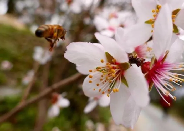San Michele Di Danio Giovanni Séjour à la ferme