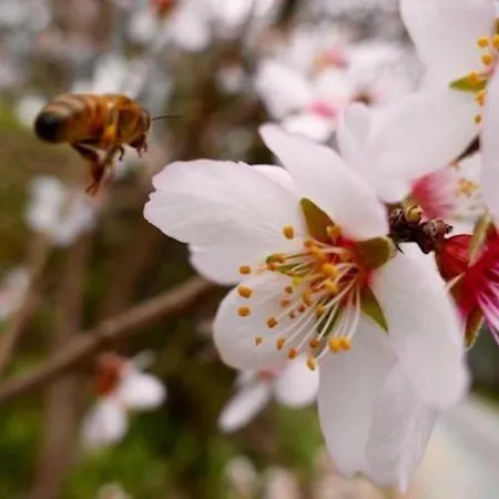 Agriturismo San Michele Farm stay