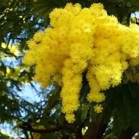 Agriturismo San Michele *