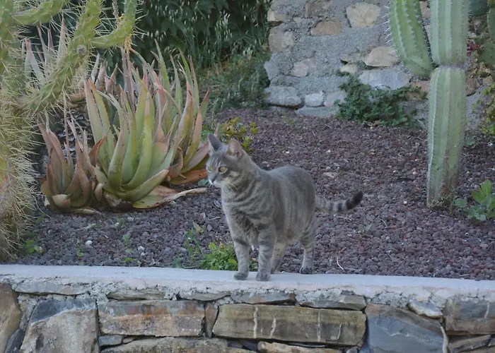 San Michele Di Danio Giovanni Фермерский дом Дольчедо